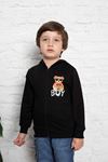 Ayıcık Baskılı Erkek Çocuk Sweat